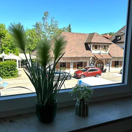 Gesamte Wohnung, Kueche, Parkplatz, Terrasse Bad Bellingen Exterior foto