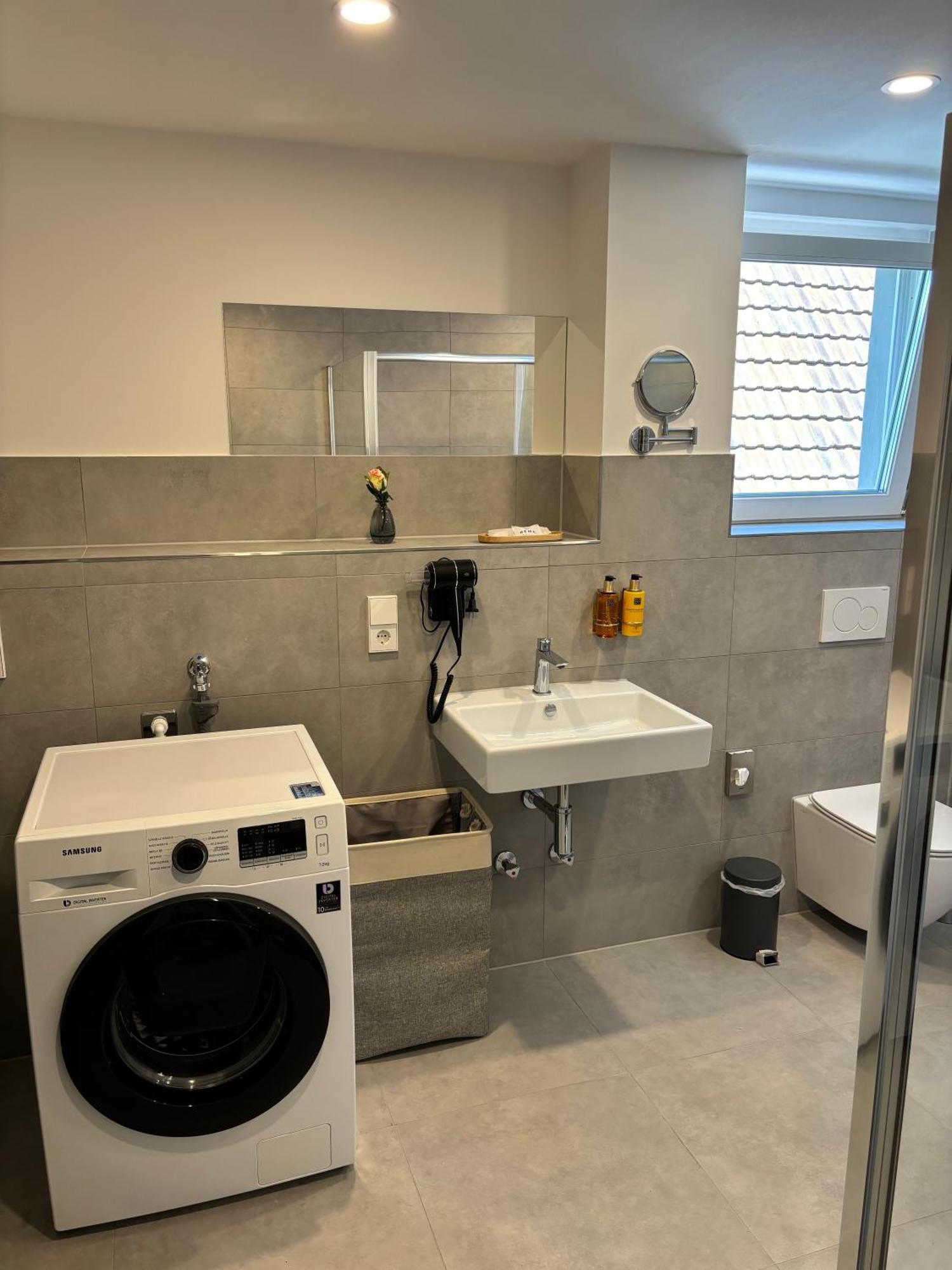 Apartment Gesamte Wohnung, Kueche, Parkplatz, Terrasse Bad Bellingen