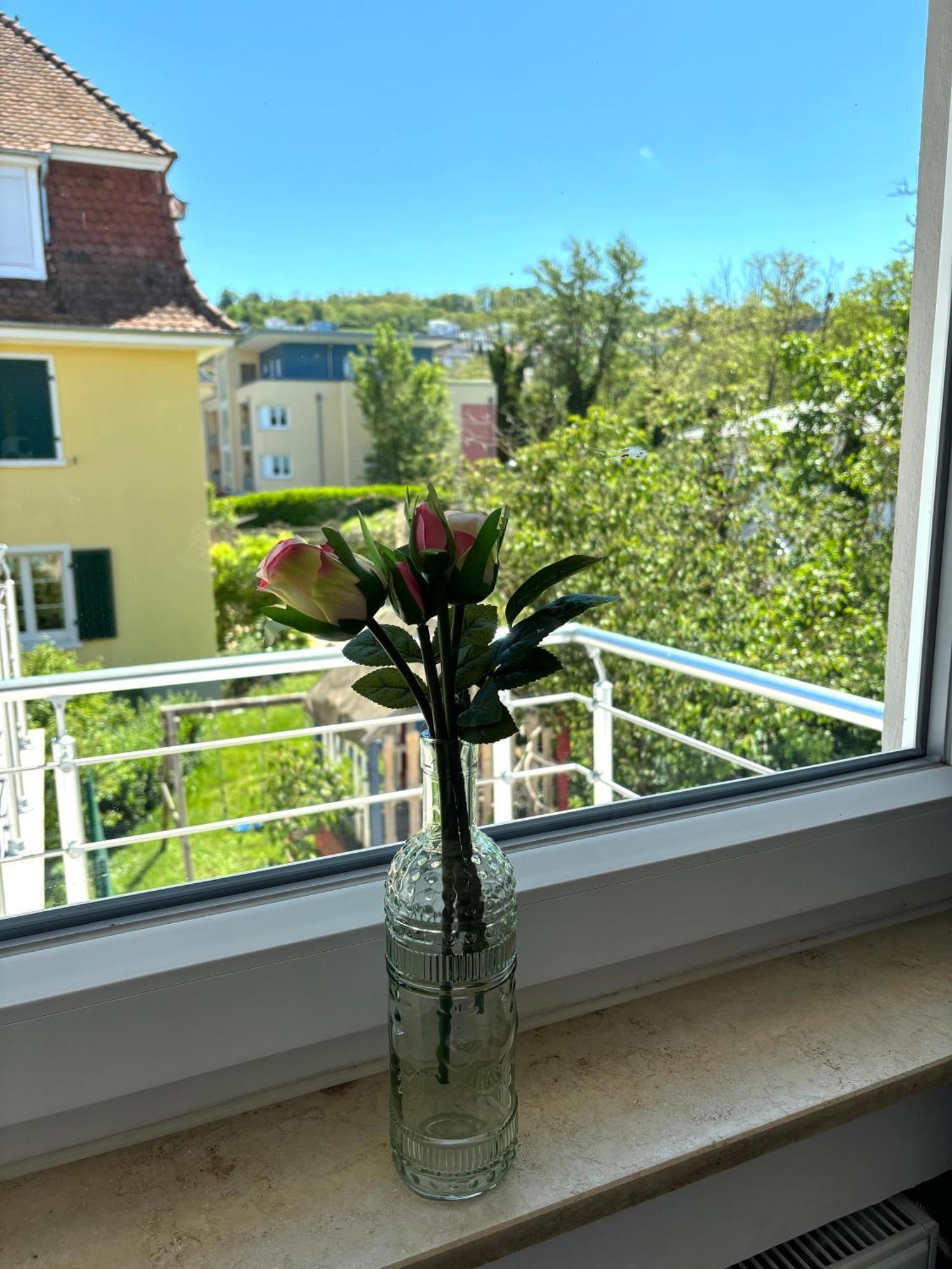 Apartment Gesamte Wohnung, Kueche, Parkplatz, Terrasse *